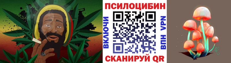 магазин    darknet какой сайт  Галлюциногенные грибы ЛСД  Елизово 